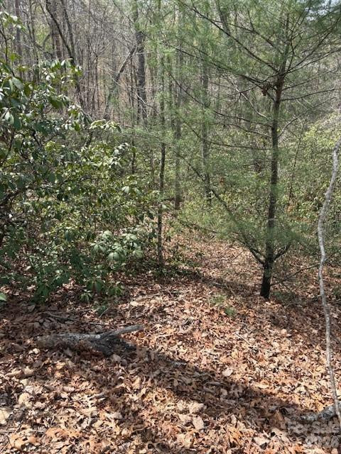 0 Poodles Way #291 - Photo 3