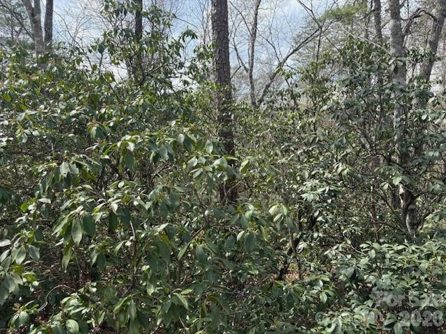 0 Poodles Way #291 - Photo 4