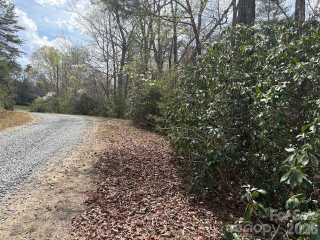 0 Poodles Way #291 - Photo 5