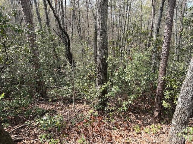 0 Poodles Way #291 - Photo 6