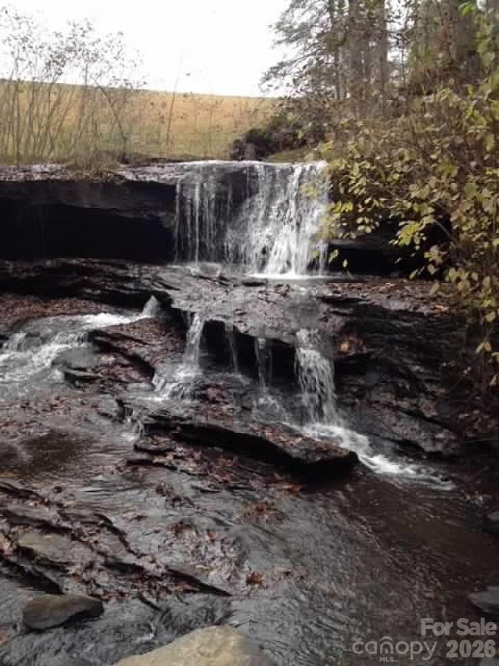 0 Poodles Way #291 - Photo 8