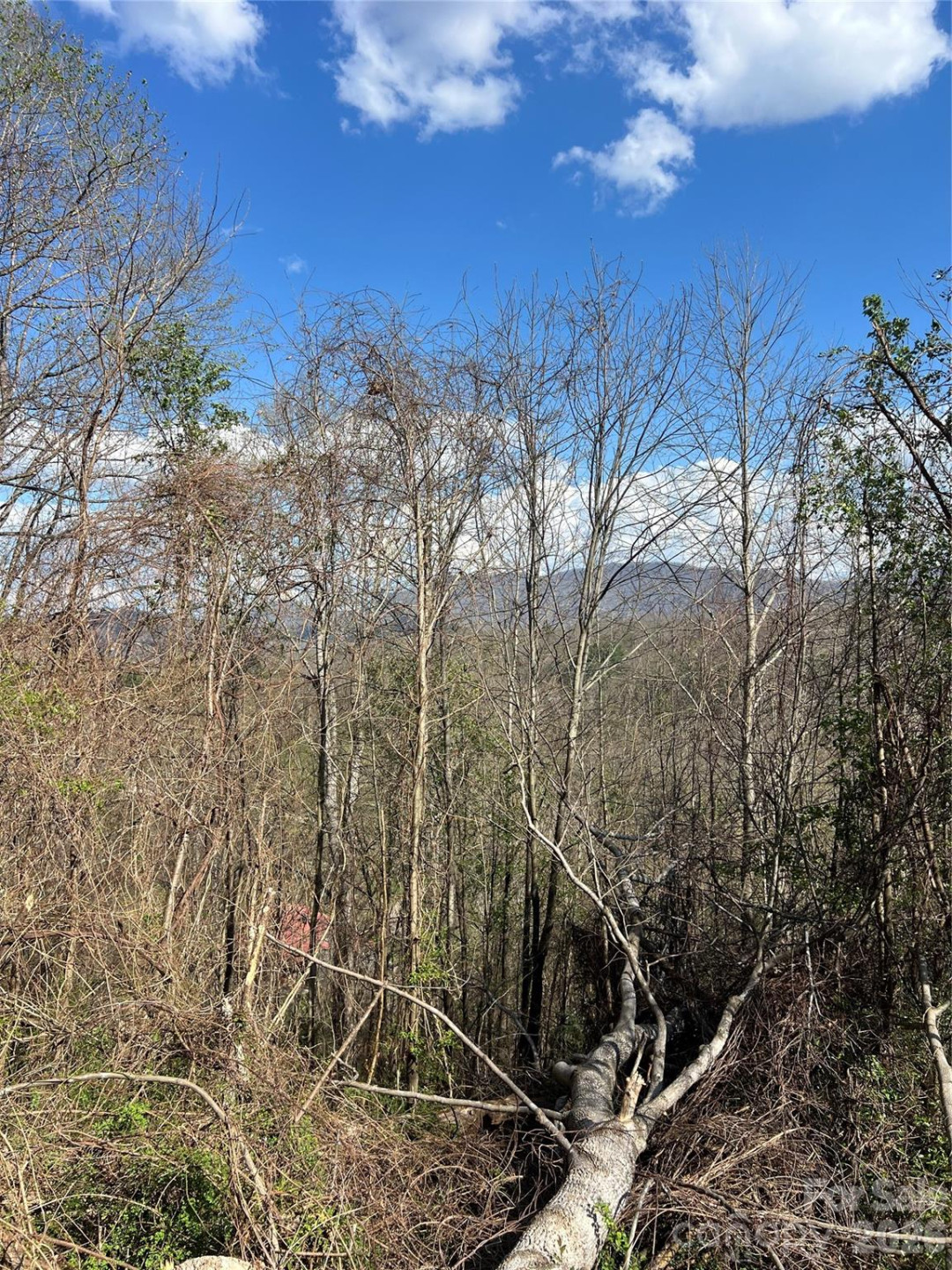 150 Combo Court - Photo 16