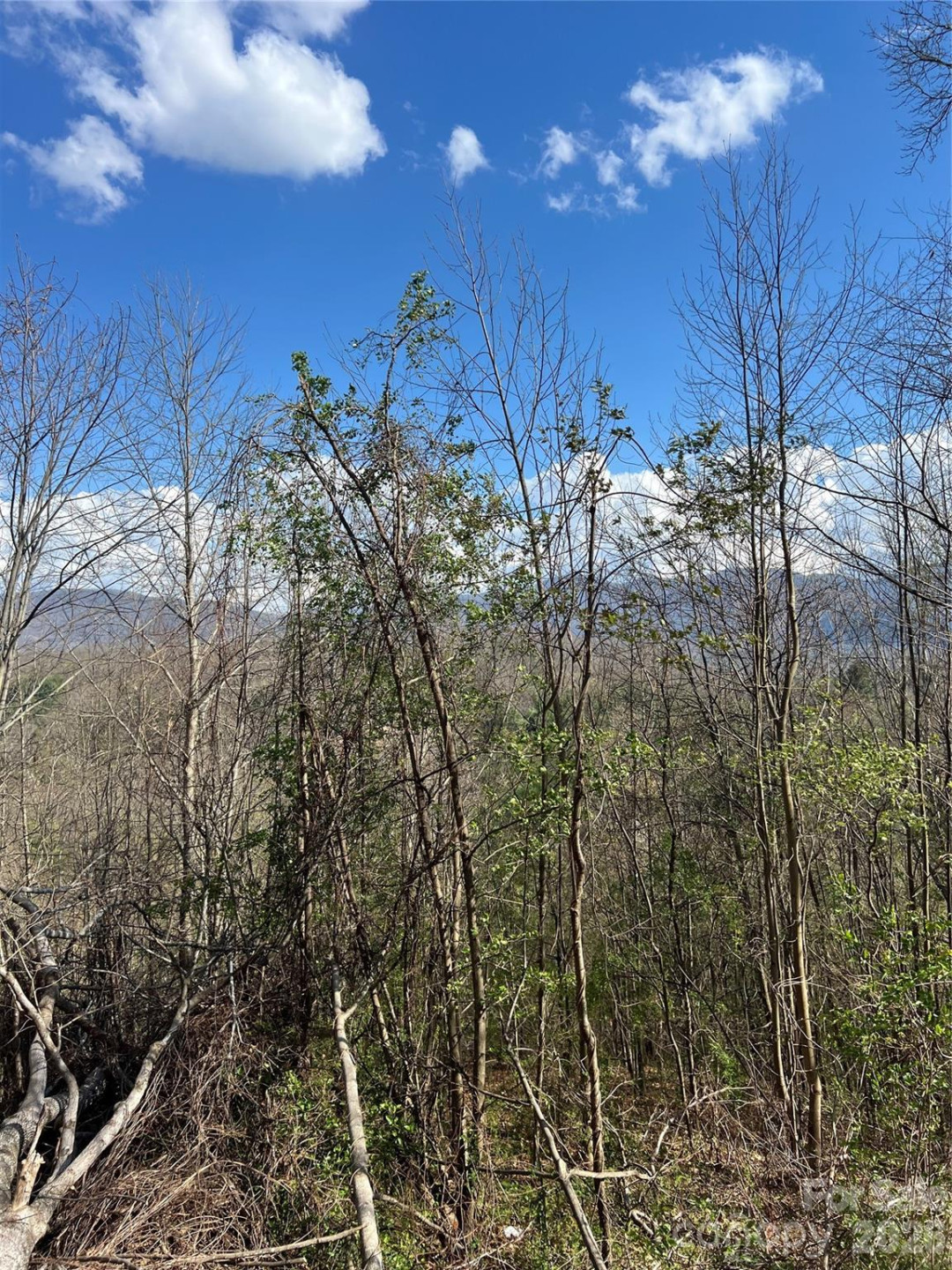 150 Combo Court - Photo 17