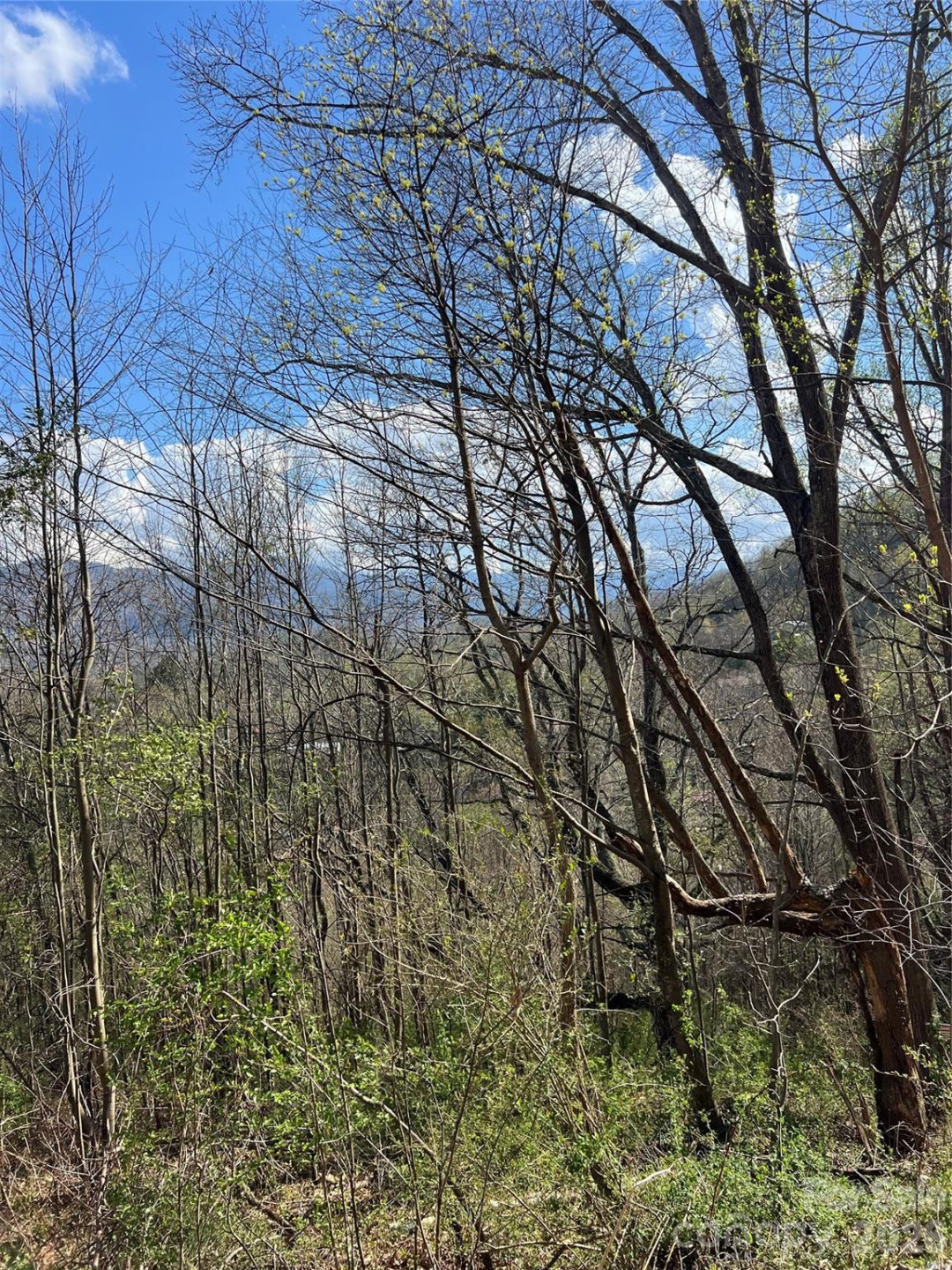 150 Combo Court - Photo 18