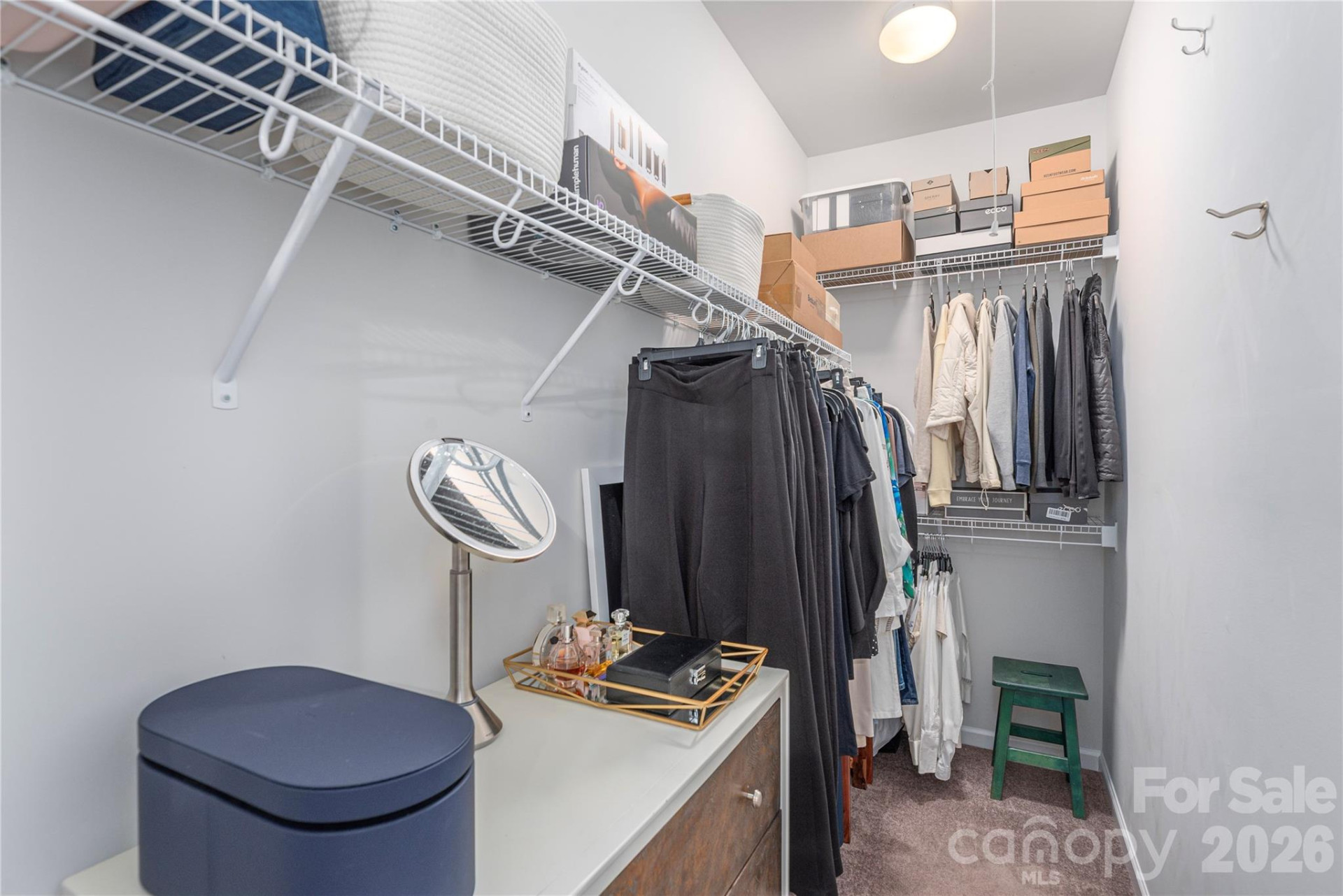 311 Wild Ginger Court - Photo 19