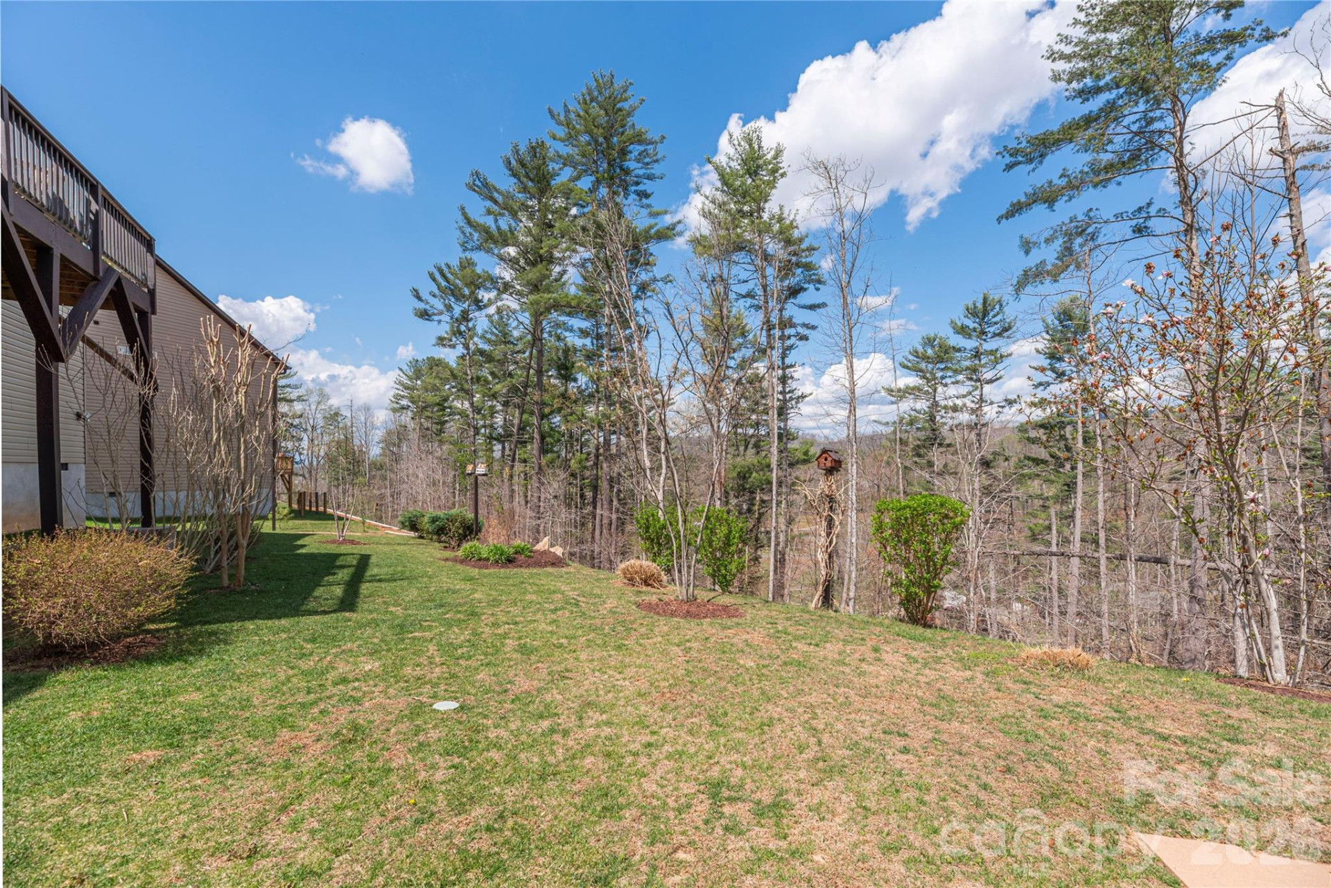 311 Wild Ginger Court - Photo 31