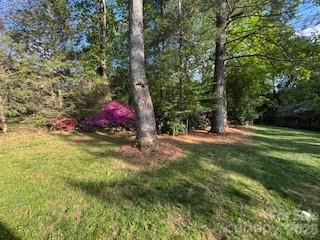 121 Churchill Downs Drive - Photo 36