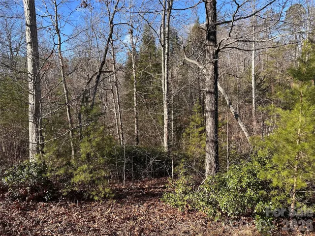 0 Rock Ledge Drive, Lake Lure, NC, 28746