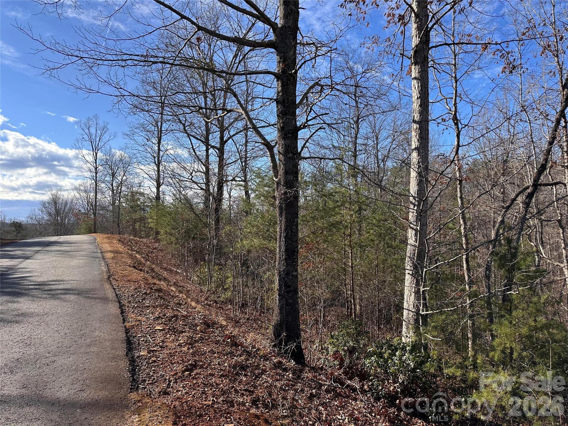 0 Rock Ledge Drive - Photo 2