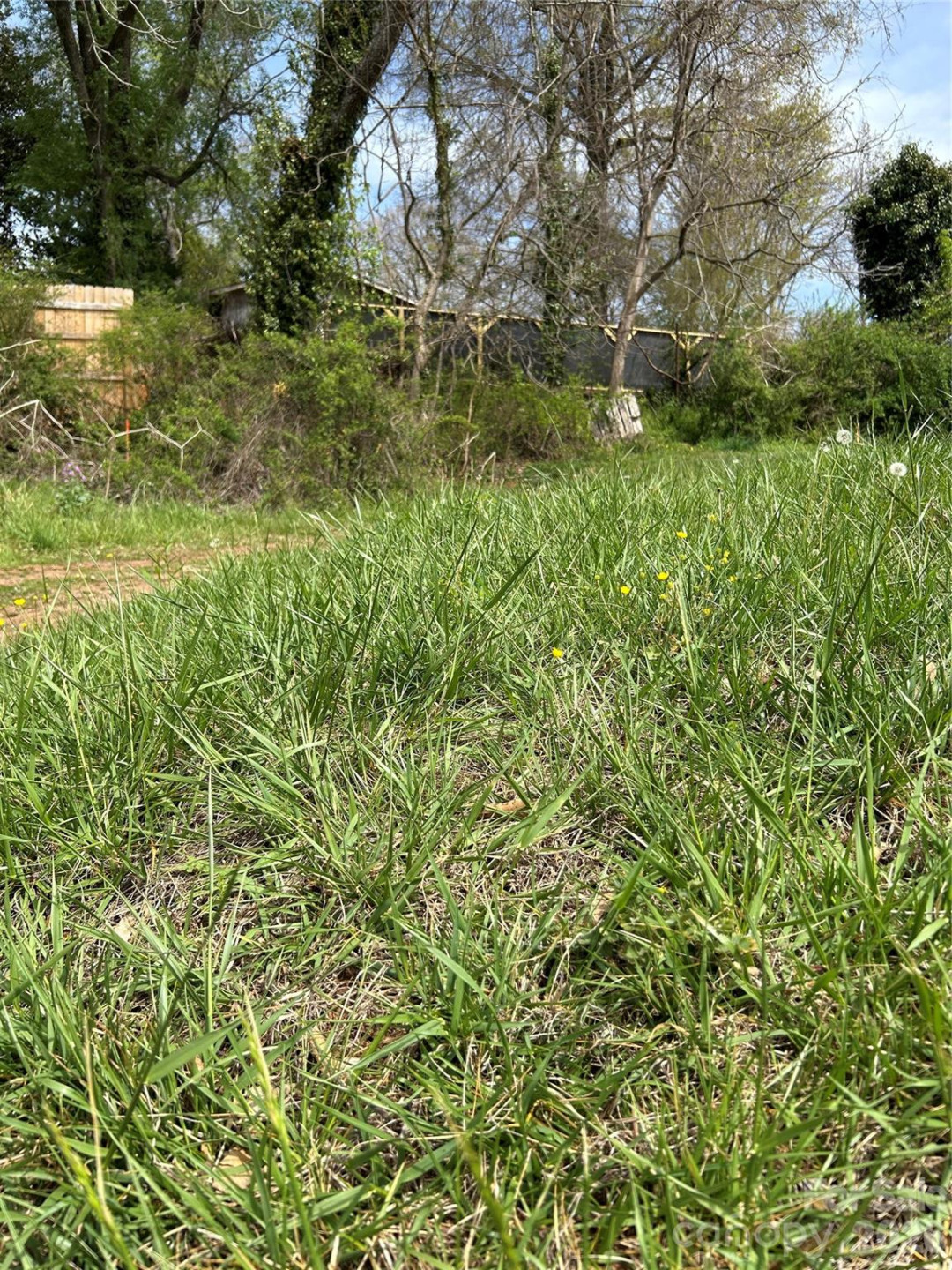 99999 Lamb Avenue #2 - Photo 4