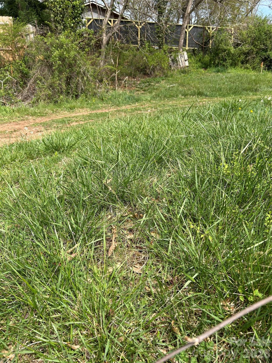 99999 Lamb Avenue #2 - Photo 5