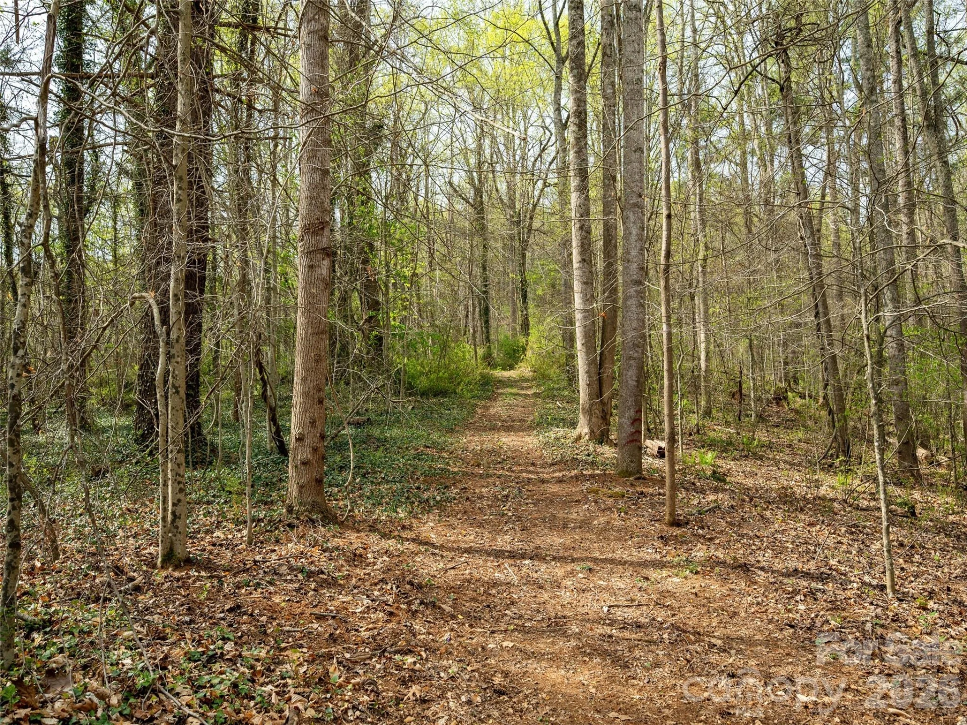 91 Rice Branch Road - Photo 27