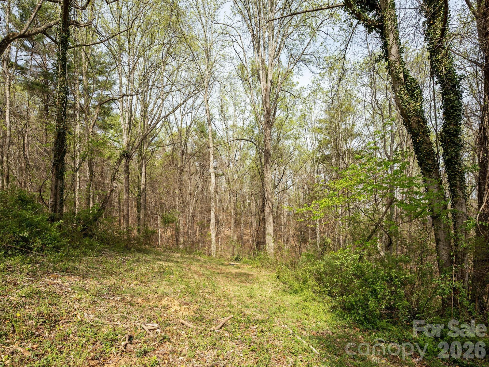 91 Rice Branch Road - Photo 28