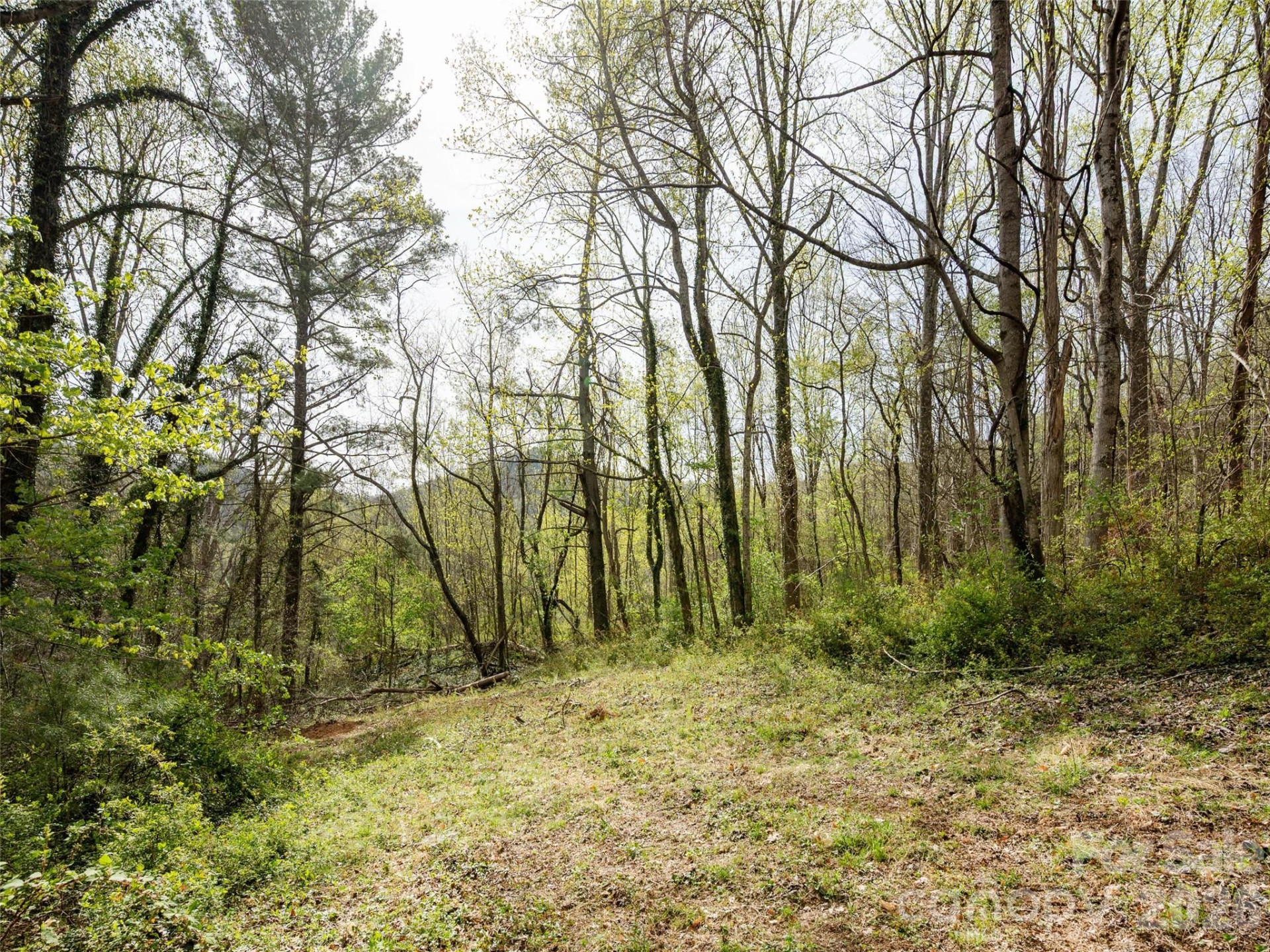 91 Rice Branch Road - Photo 29