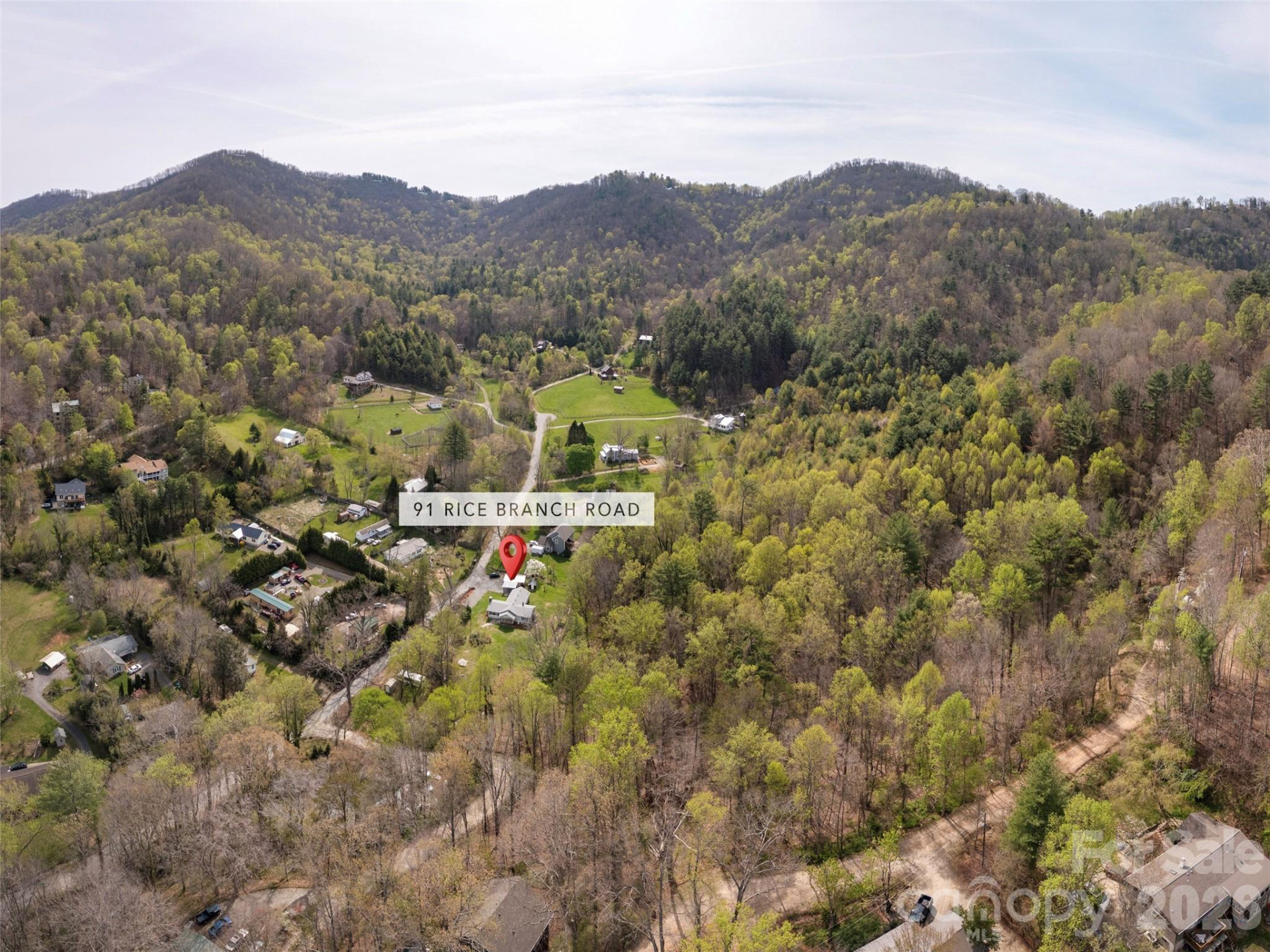 91 Rice Branch Road - Photo 39