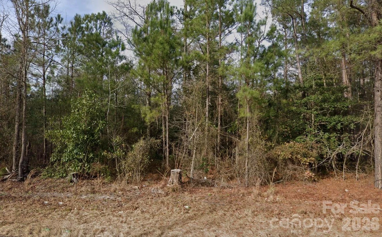 4233 Mount Misery Road - Photo 2