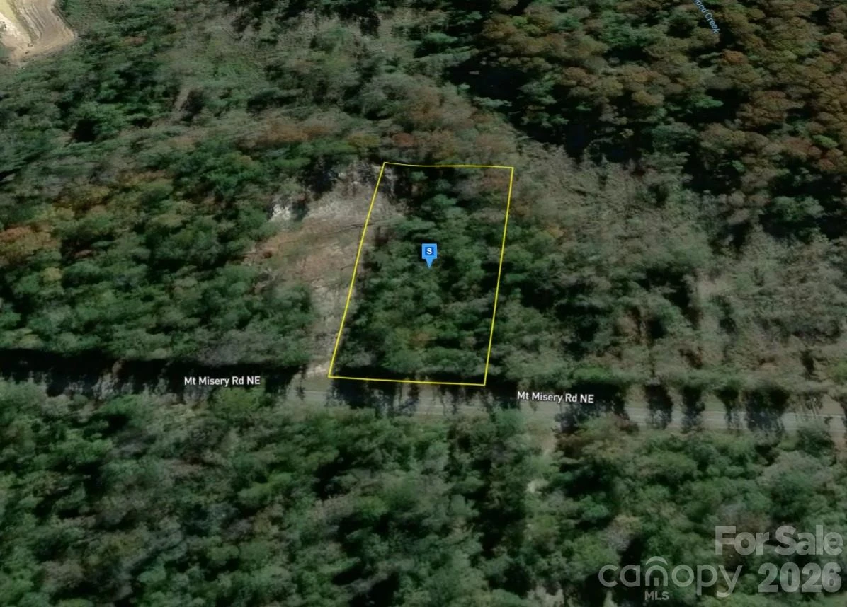 4233 Mount Misery Road - Photo 3