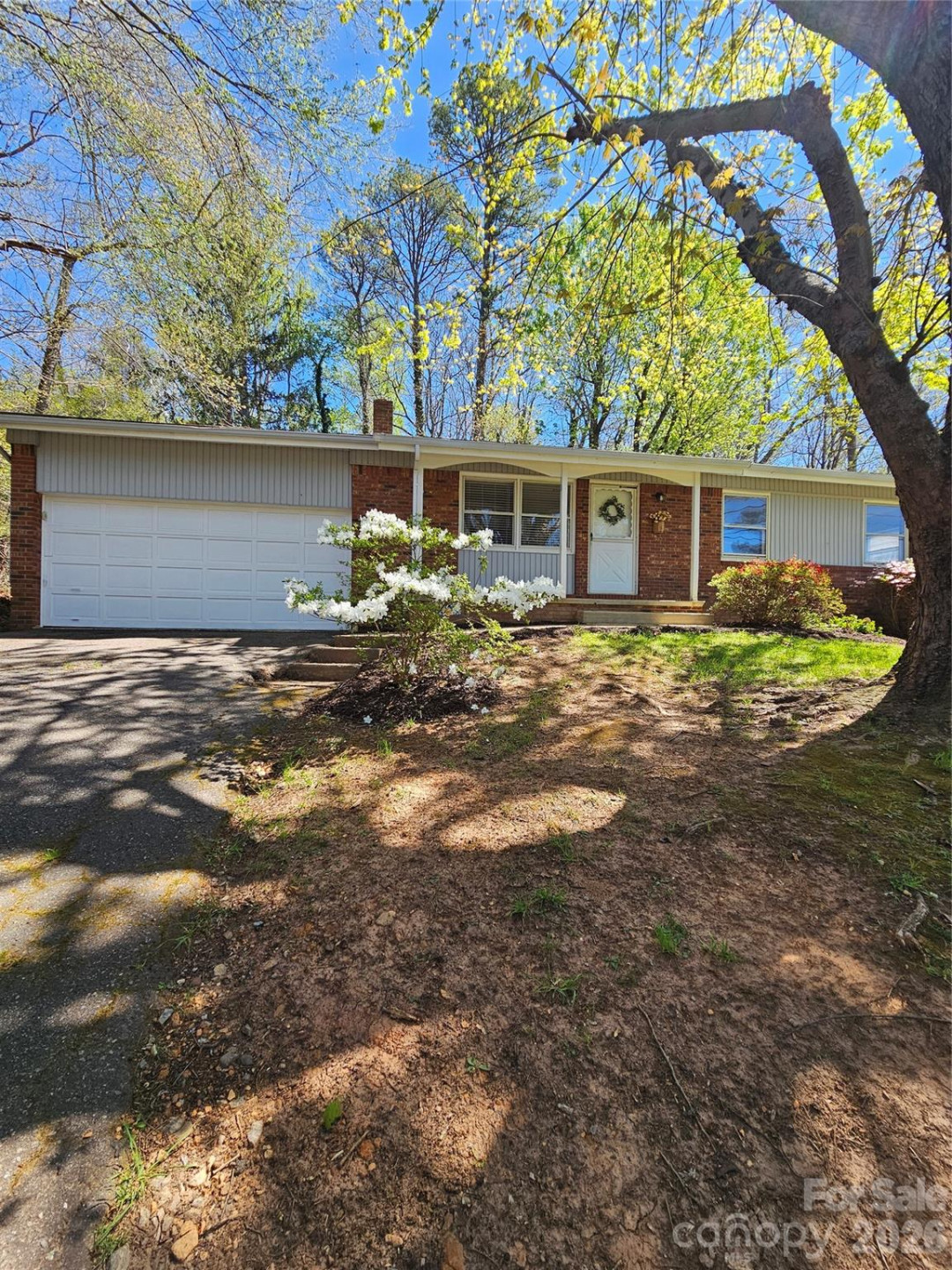 3220 Sweeten Creek Road - Photo 2