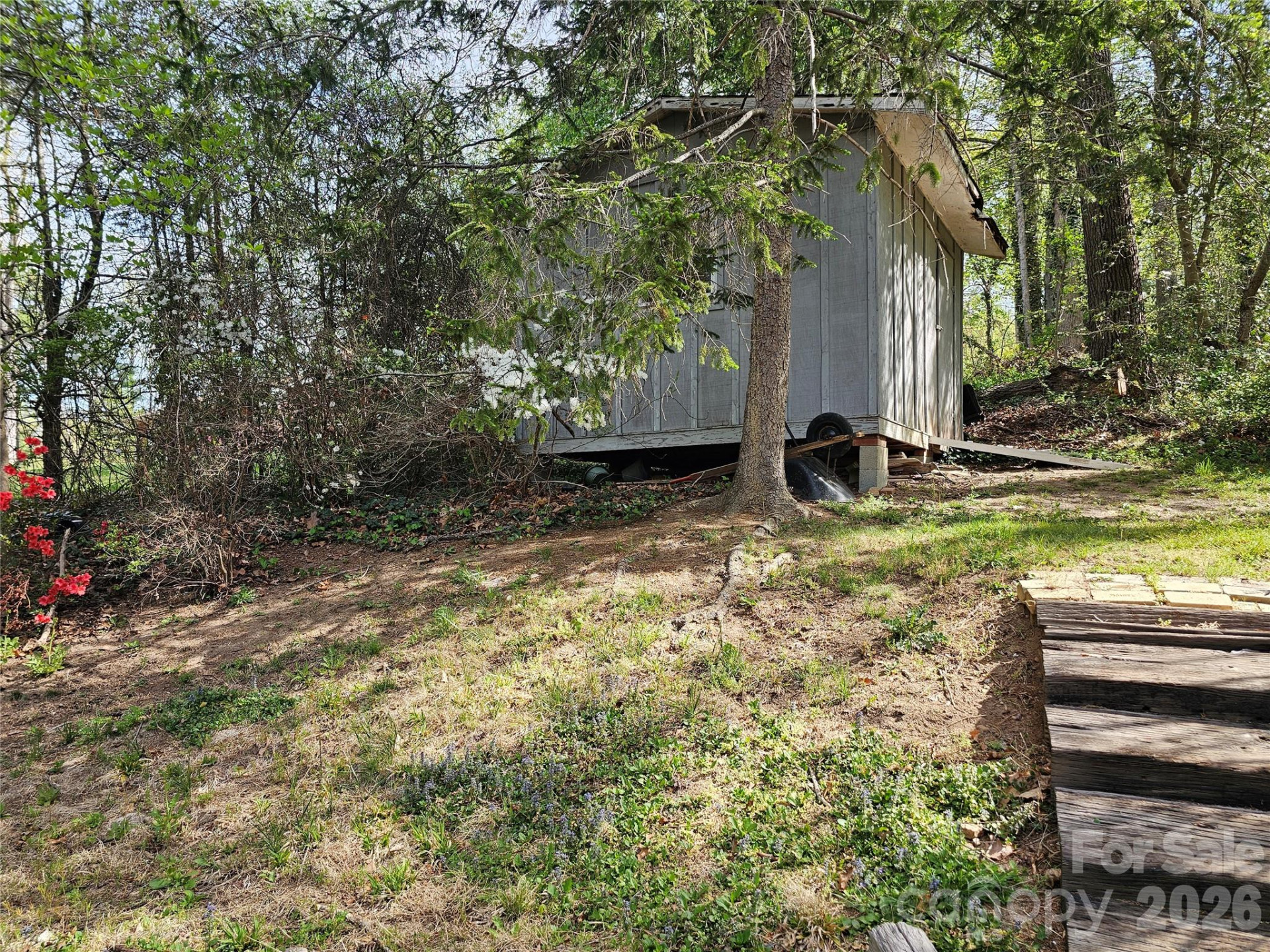 3220 Sweeten Creek Road - Photo 16