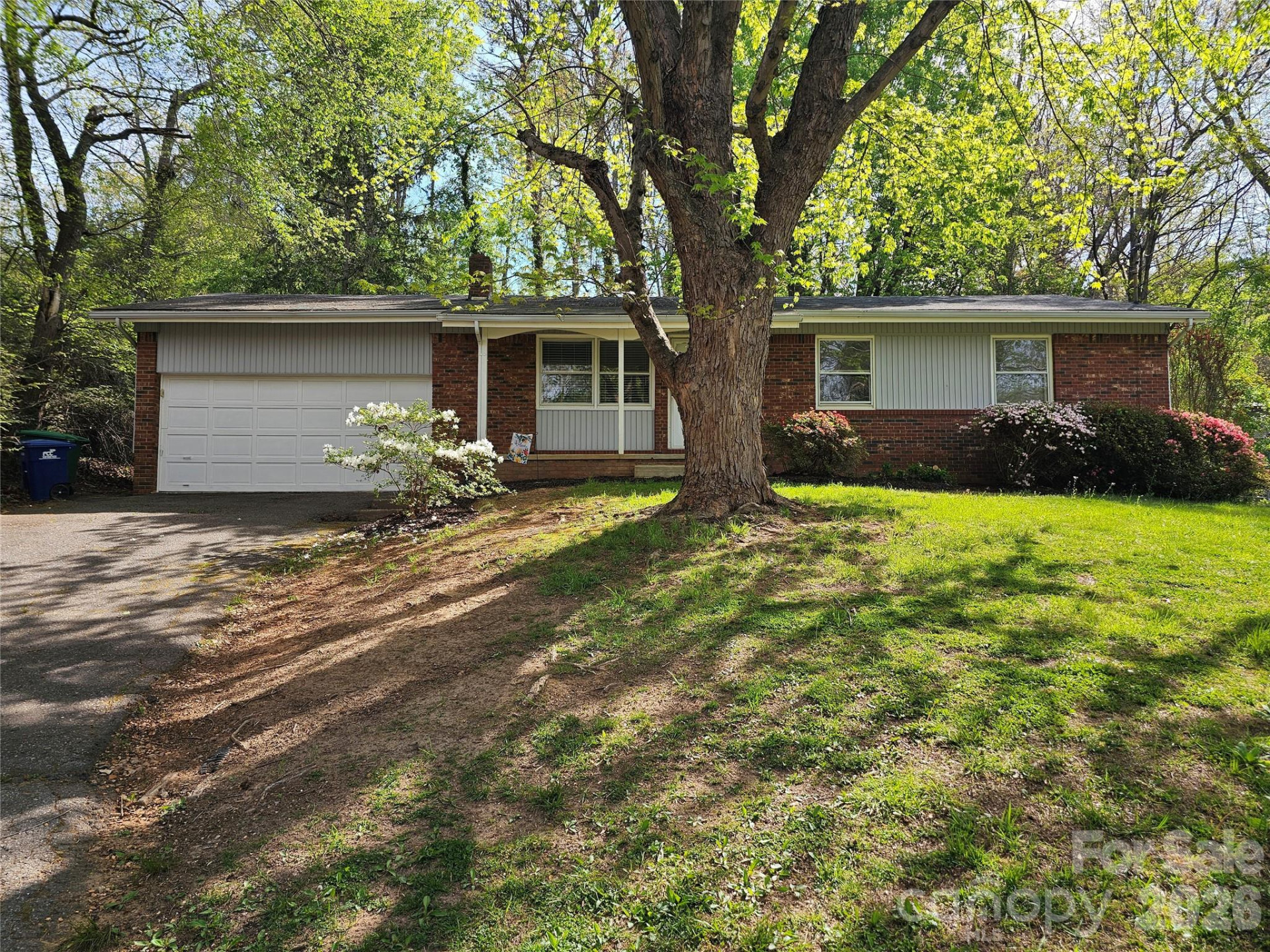 3220 Sweeten Creek Road - Photo 17