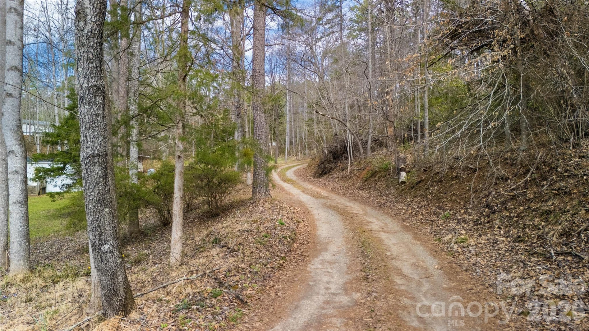 133 Birdie Watson Road - Photo 8