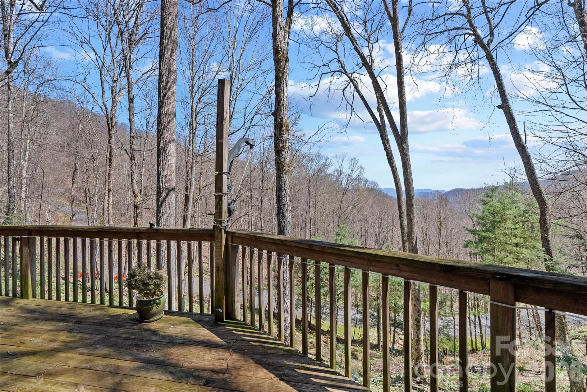 343 Chestnut Village Lane #11 & 12 - Photo 29