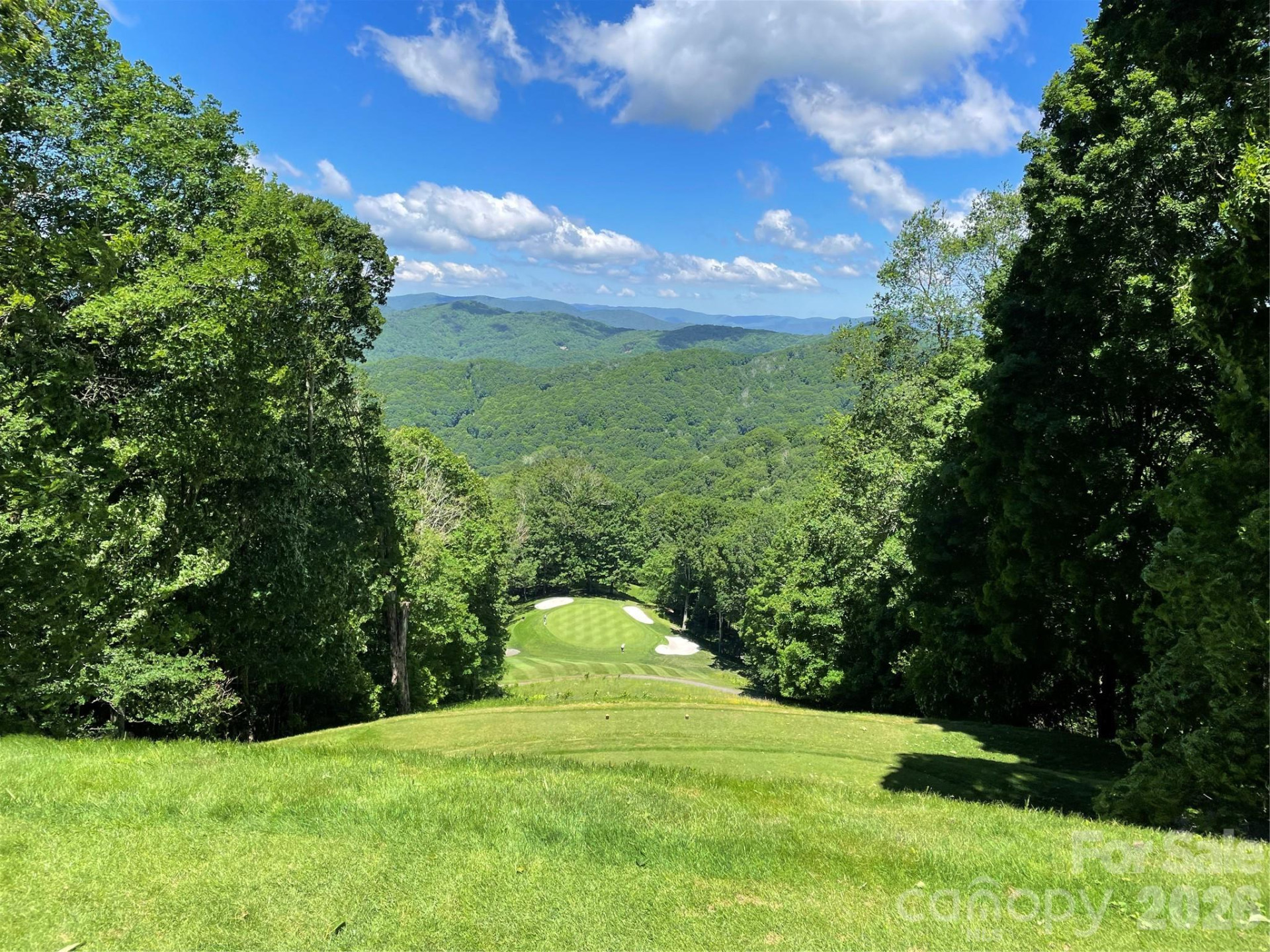 343 Chestnut Village Lane #11 & 12 - Photo 44