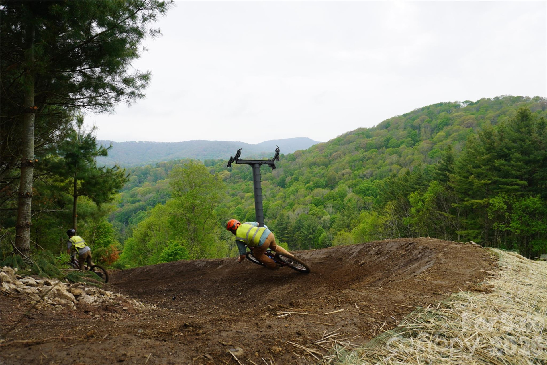 343 Chestnut Village Lane #11 & 12 - Photo 48