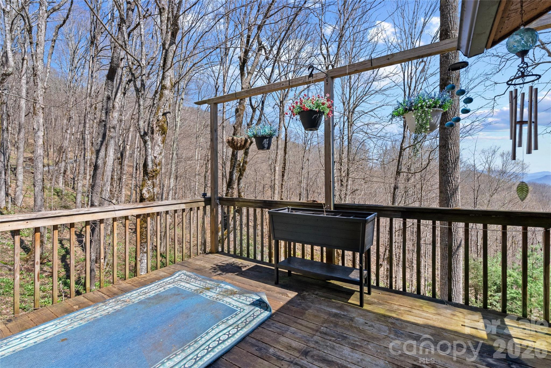 343 Chestnut Village Lane #11 & 12 - Photo 9