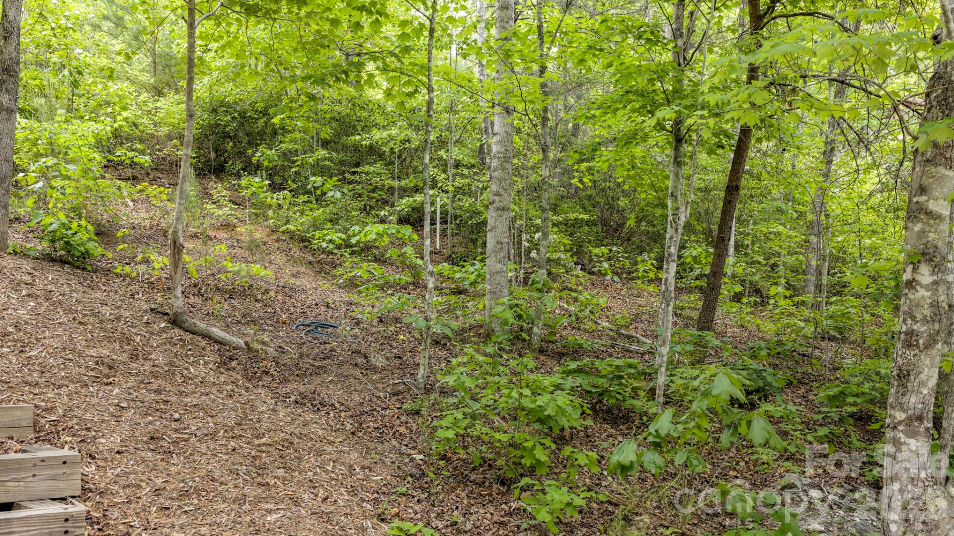 286 Holmstead Drive - Photo 74