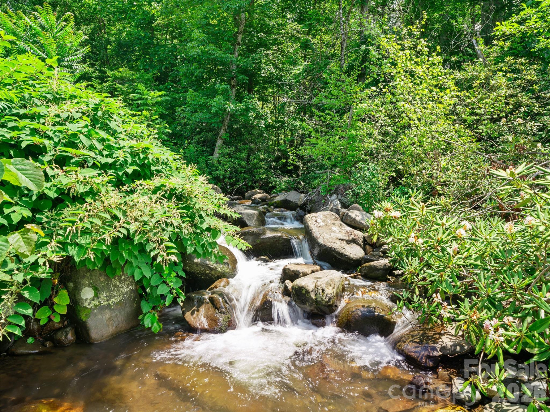 253 Odoms Chapel Road - Photo 2