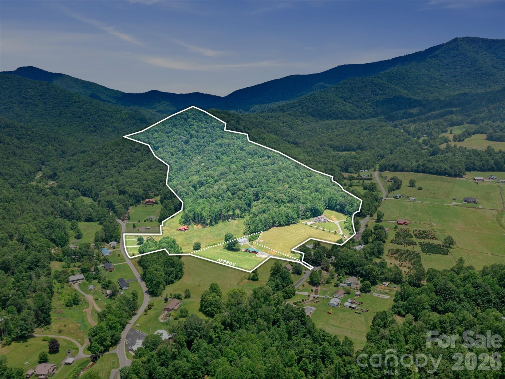 253 Odoms Chapel Road - Photo 29