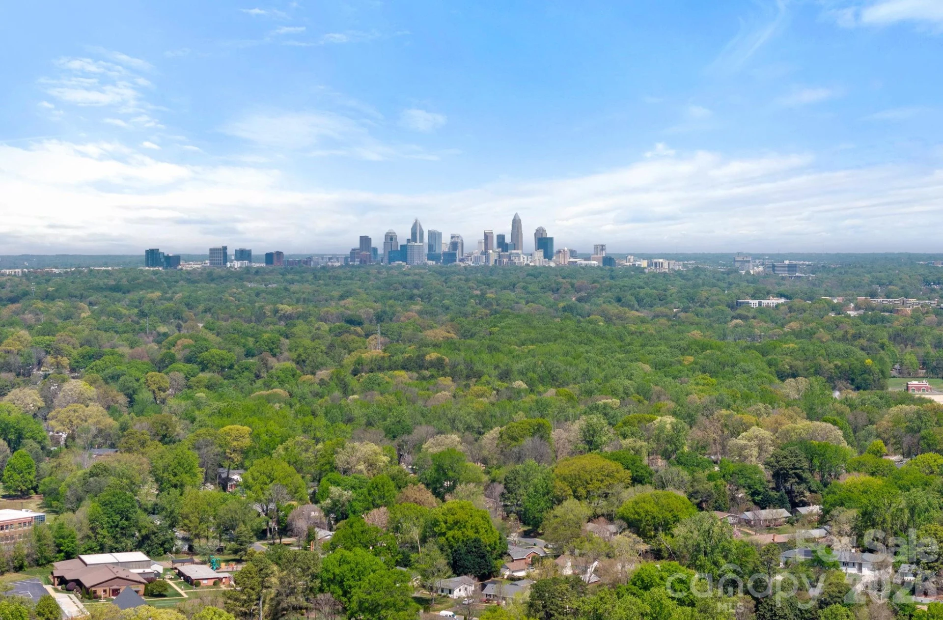 2207 Whitford Lane - Photo 28