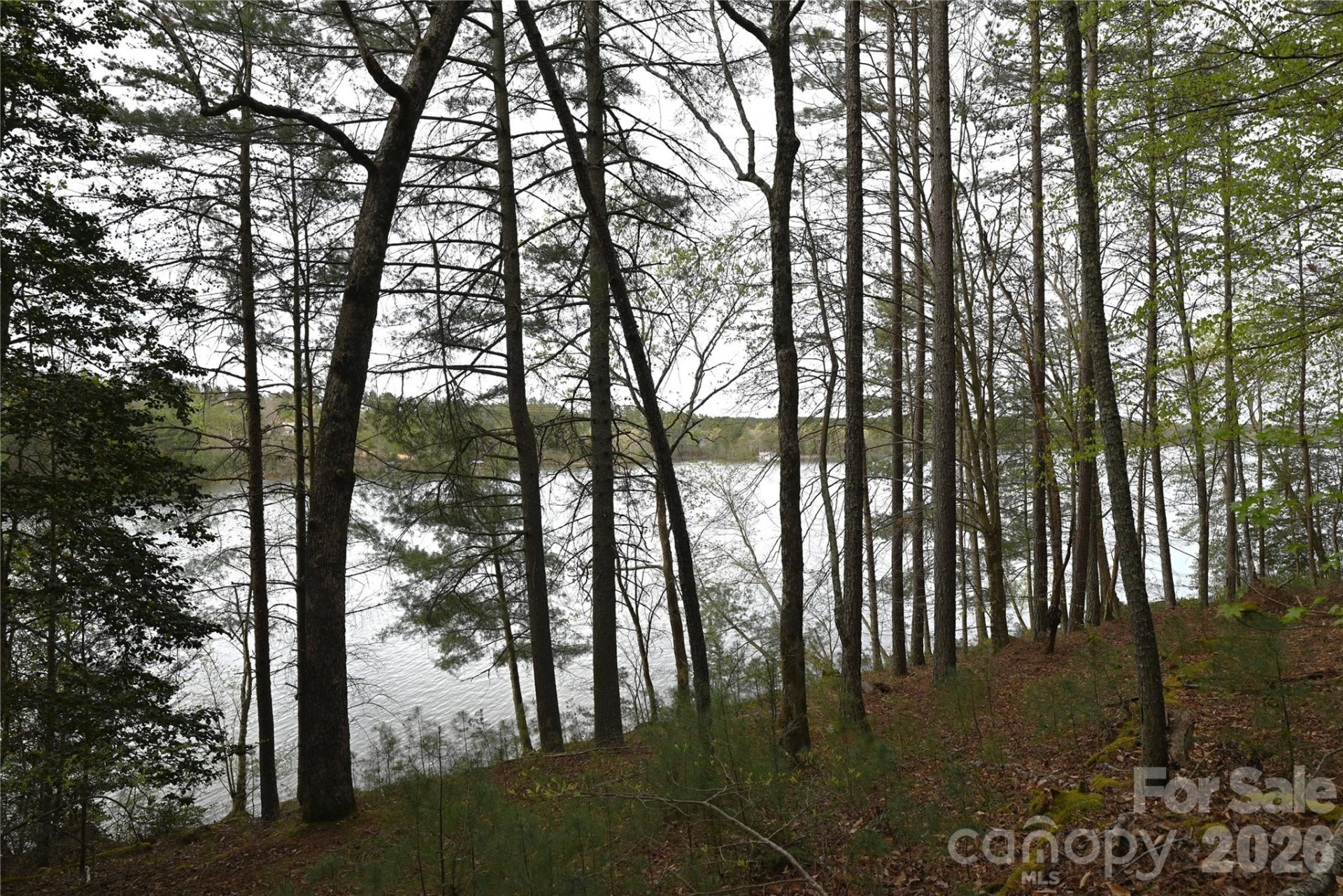 2299 Lighthouse Lane #76 - Photo 2