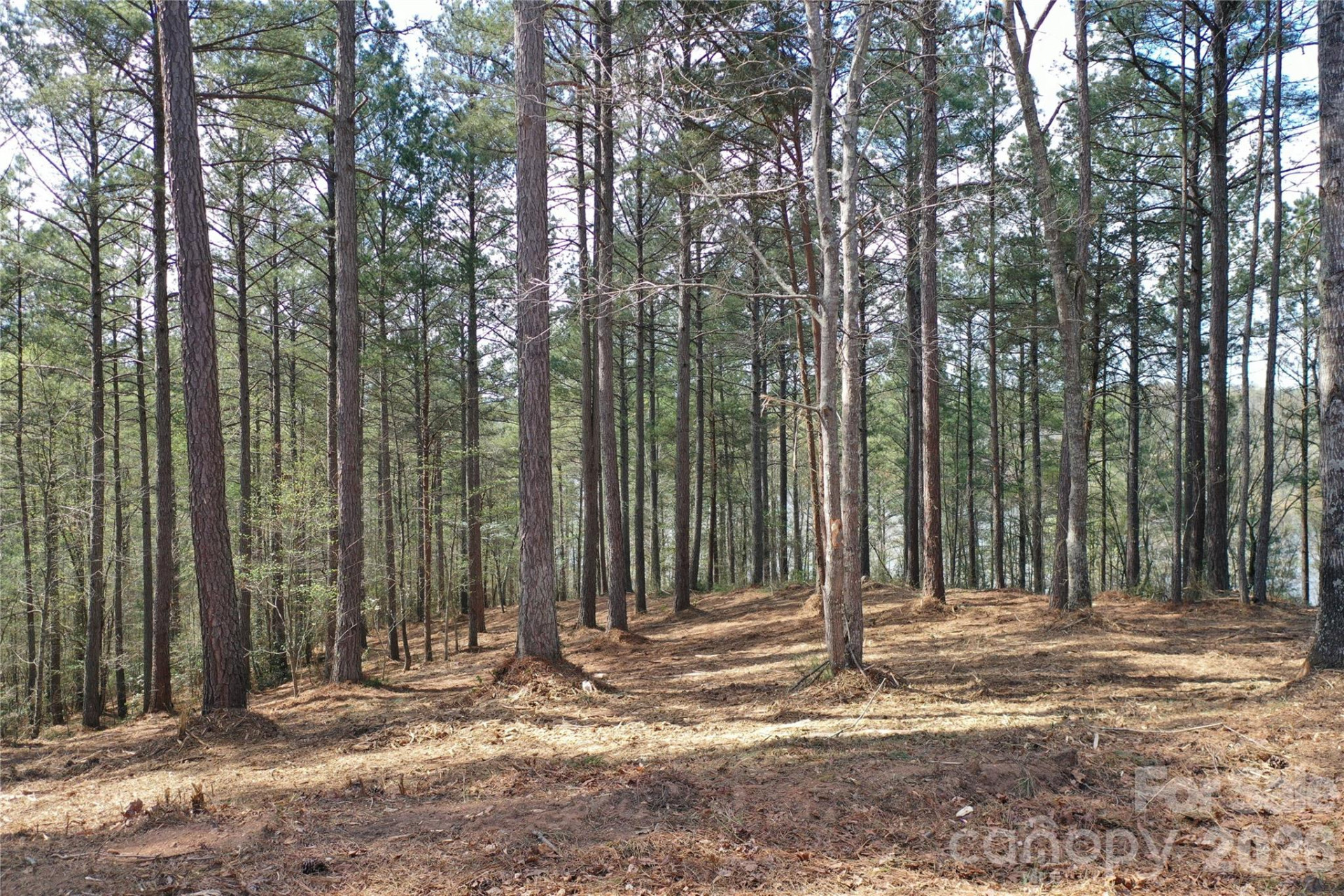 2299 Lighthouse Lane #76 - Photo 3