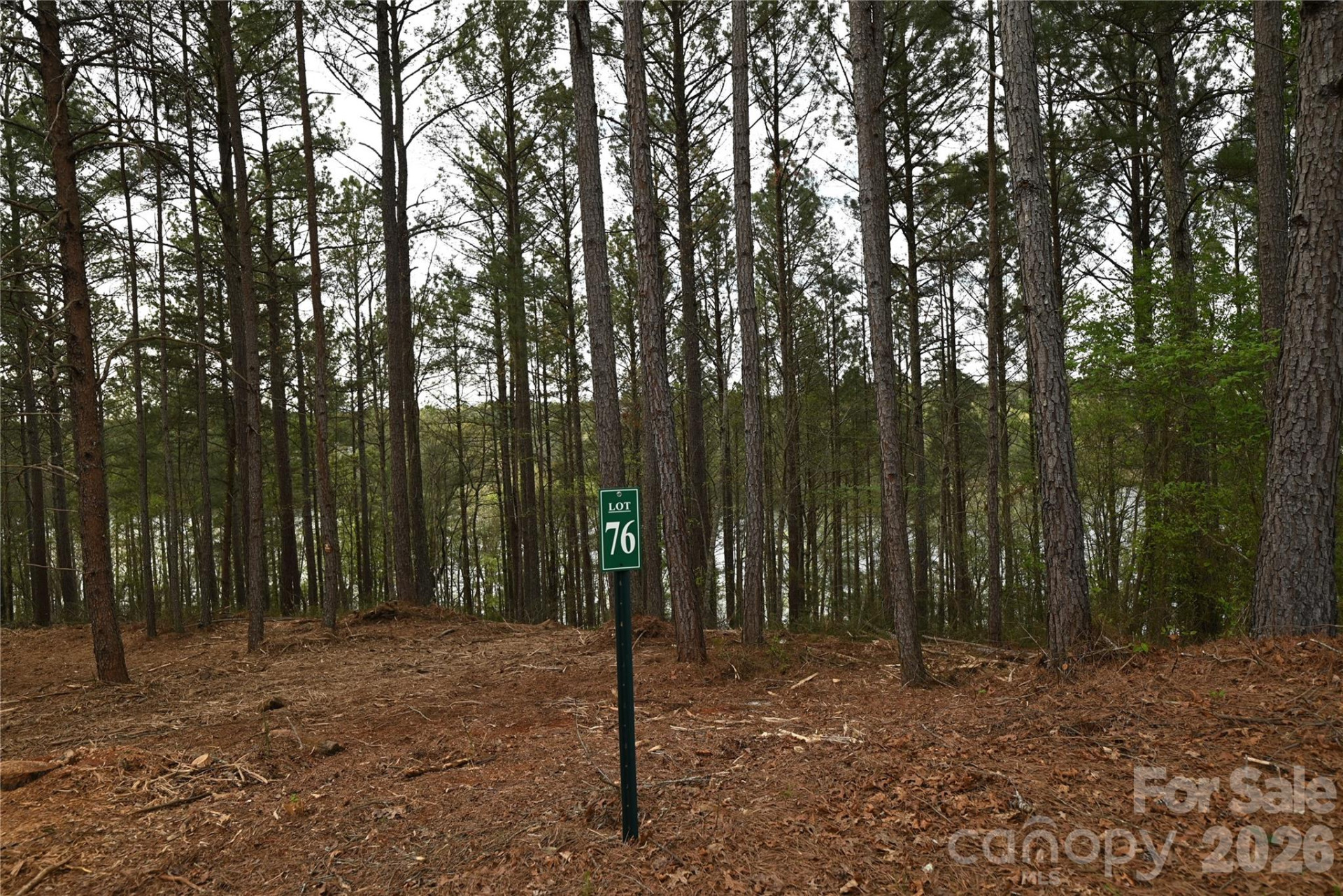 2299 Lighthouse Lane #76 - Photo 24