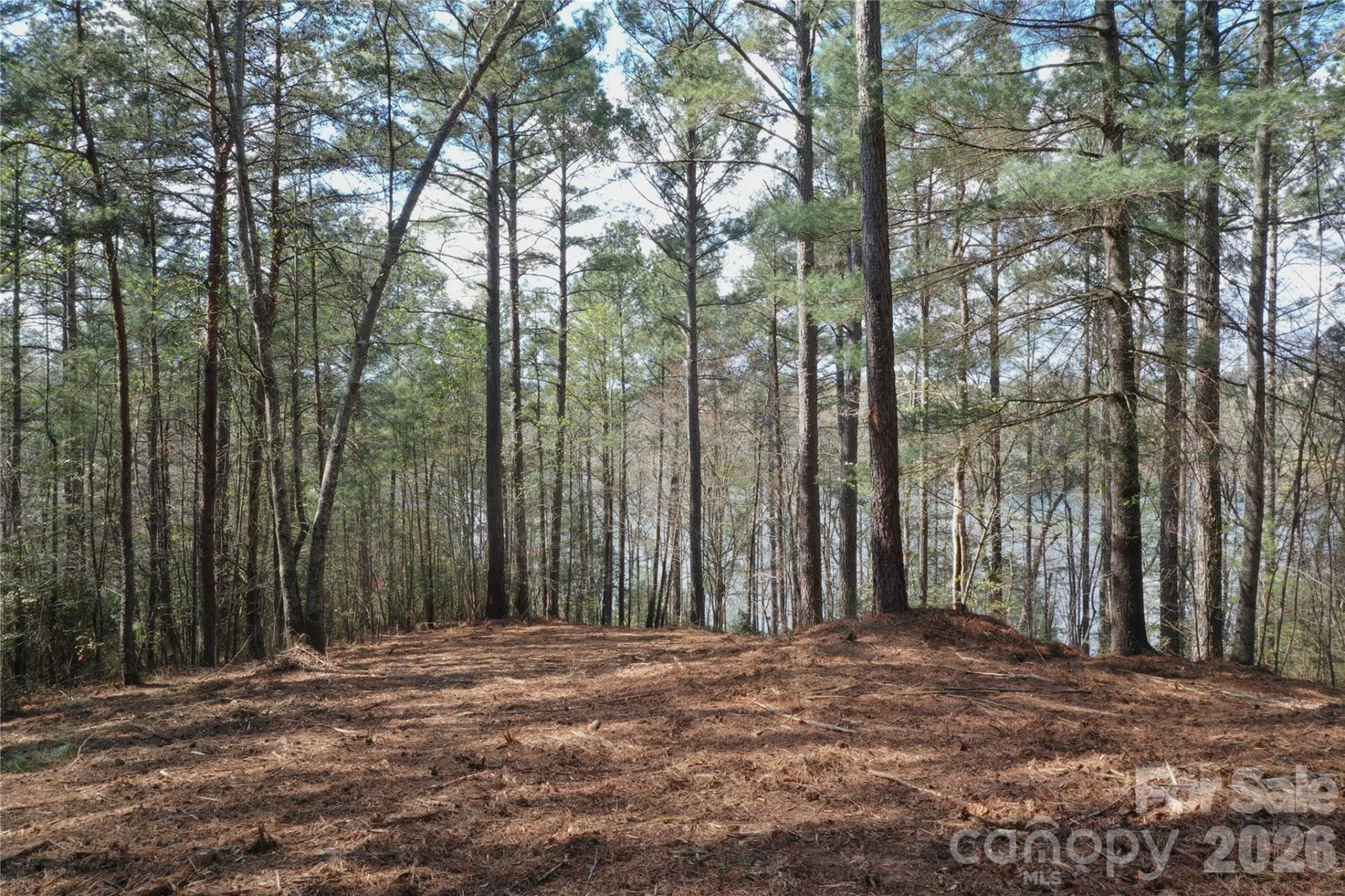 2299 Lighthouse Lane #76 - Photo 4