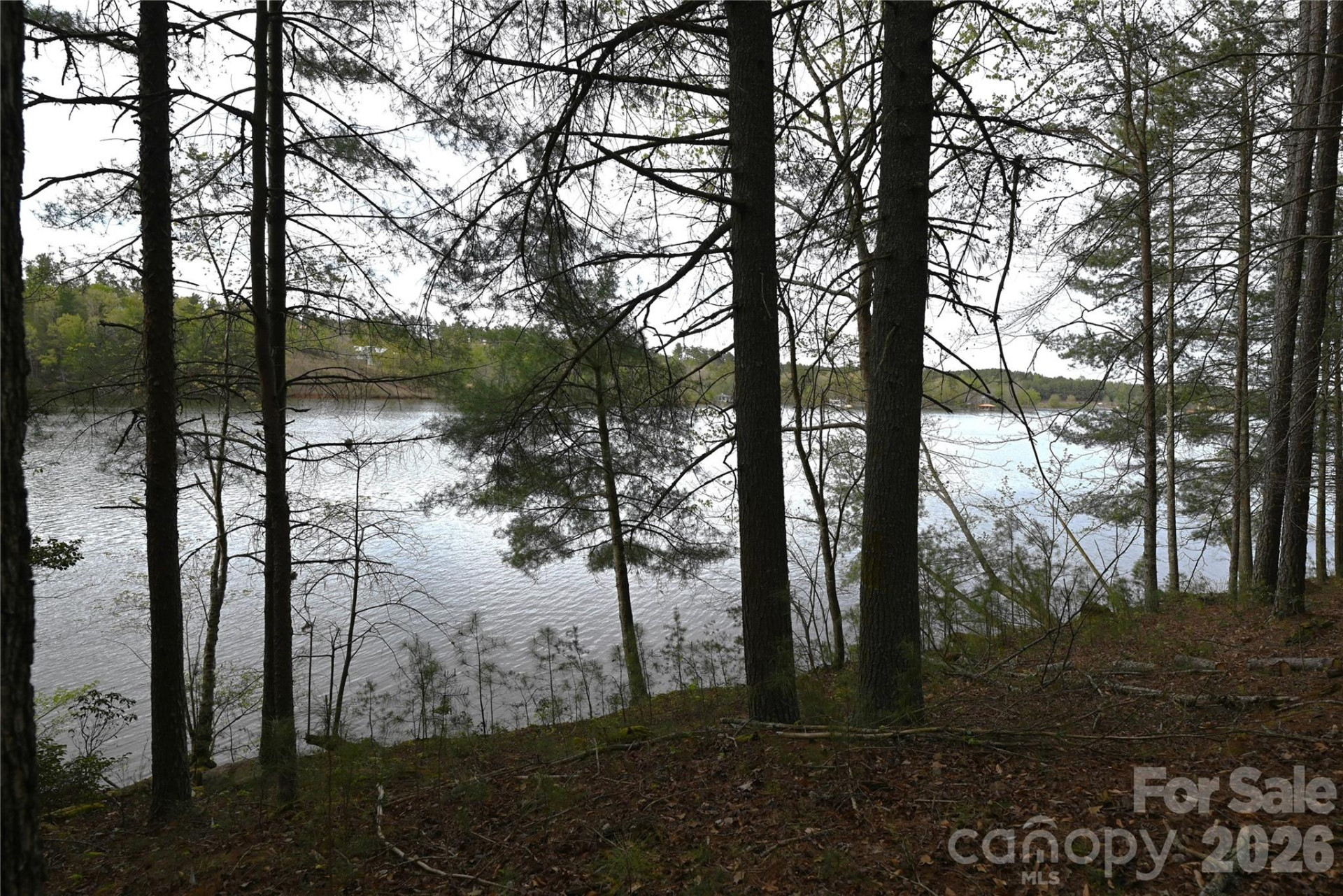 2299 Lighthouse Lane #76 - Photo 5