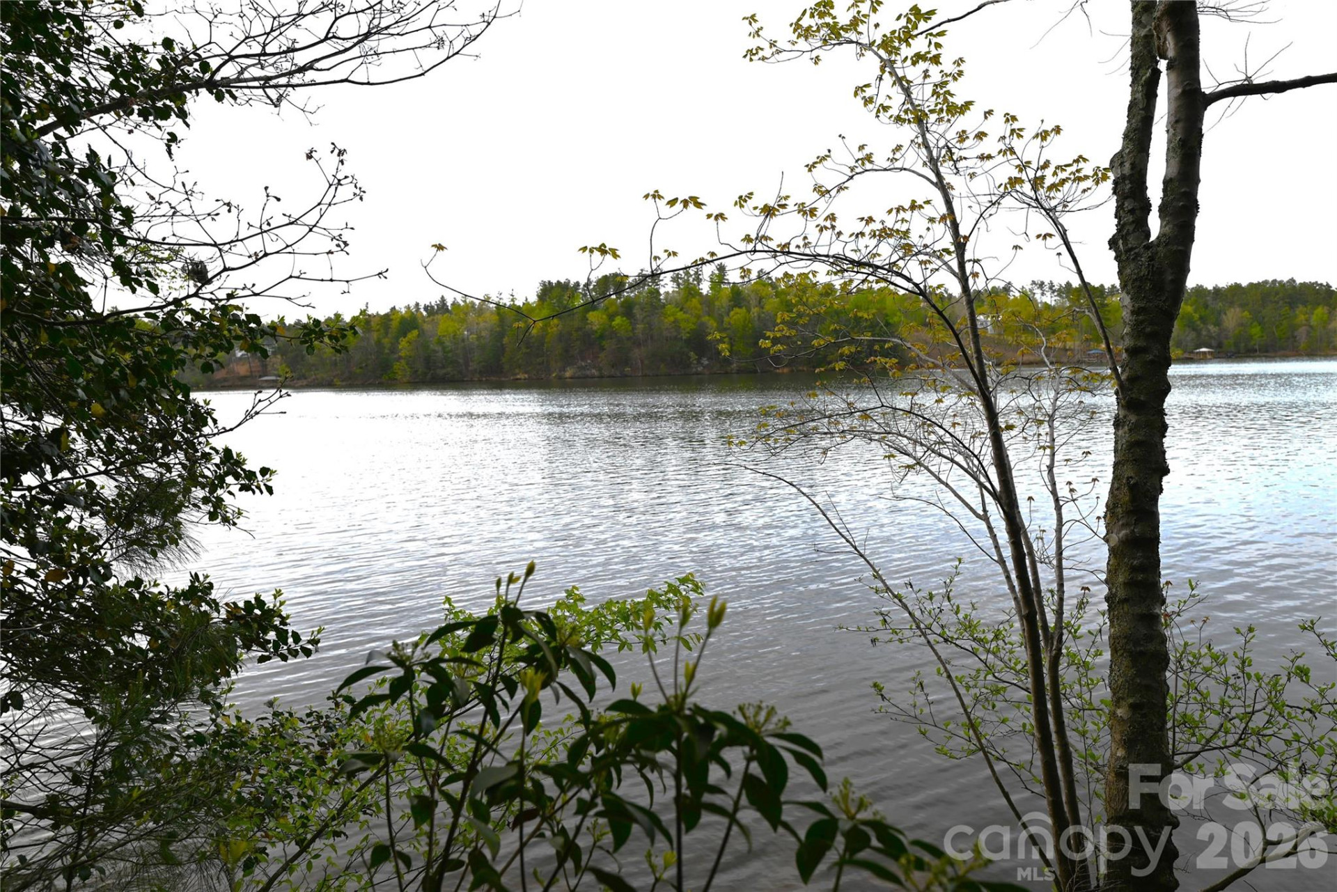 2299 Lighthouse Lane #76 - Photo 6