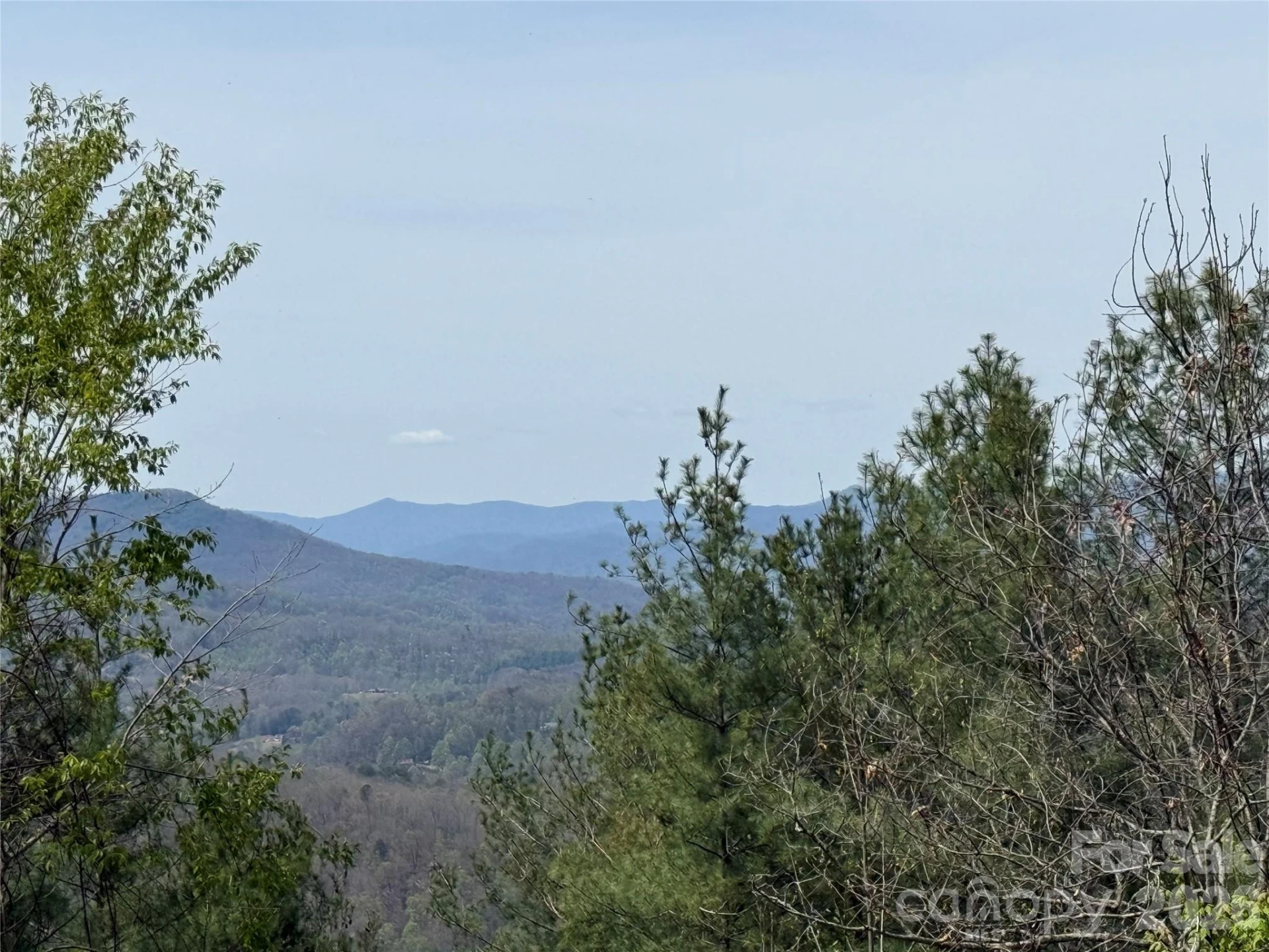 473 Echo Ridge Road - Photo 3