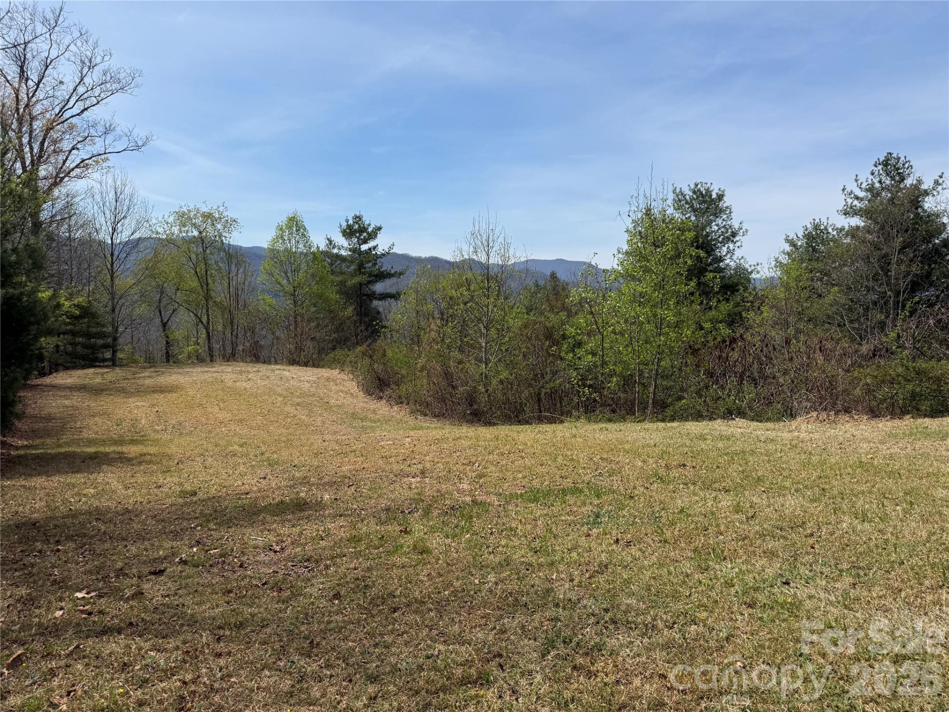 473 Echo Ridge Road - Photo 4