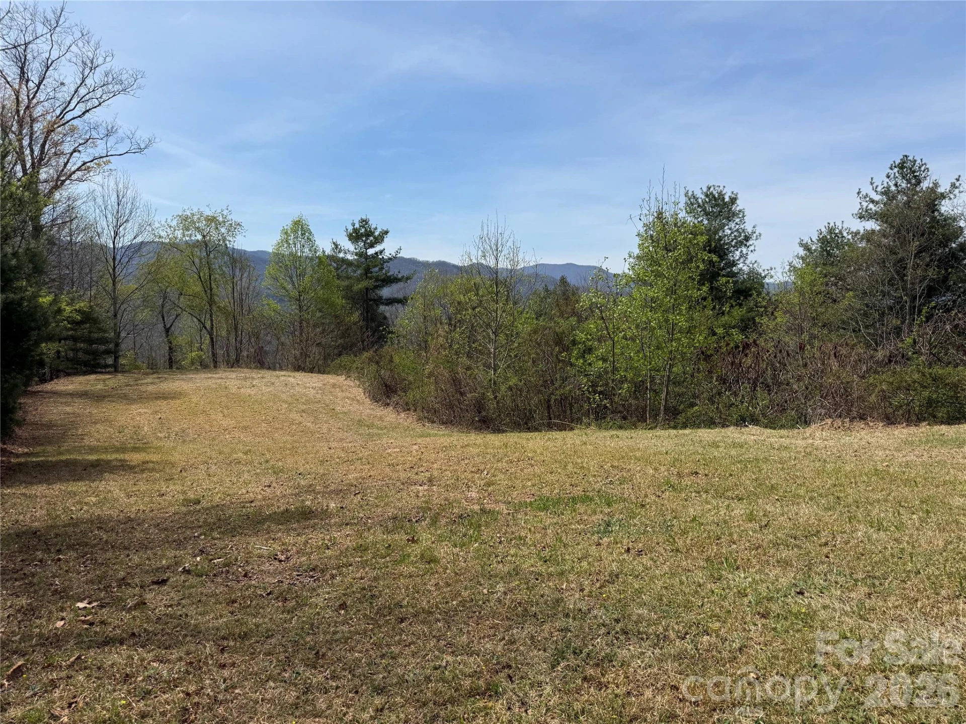 473 Echo Ridge Road - Photo 4