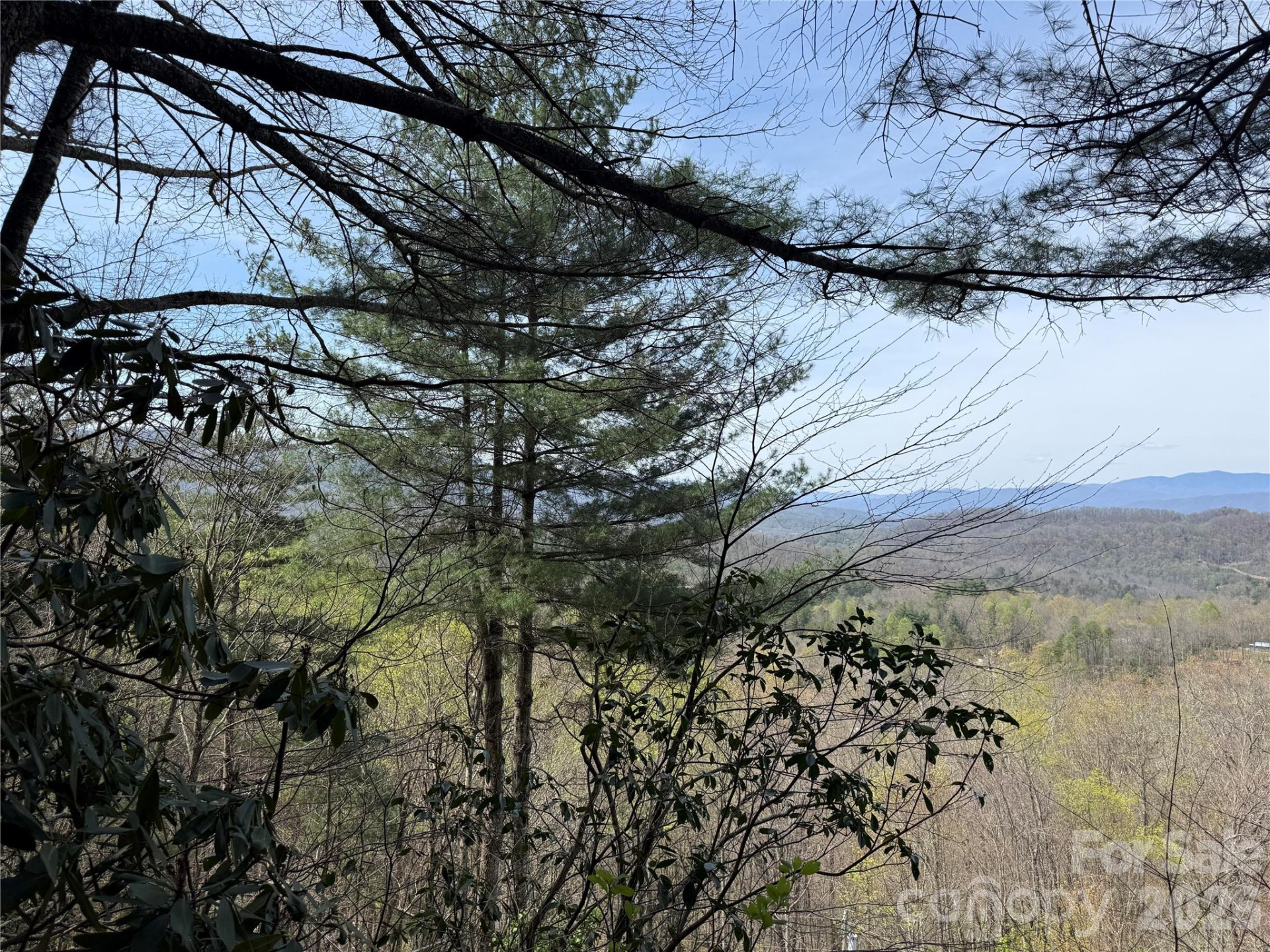 473 Echo Ridge Road - Photo 5