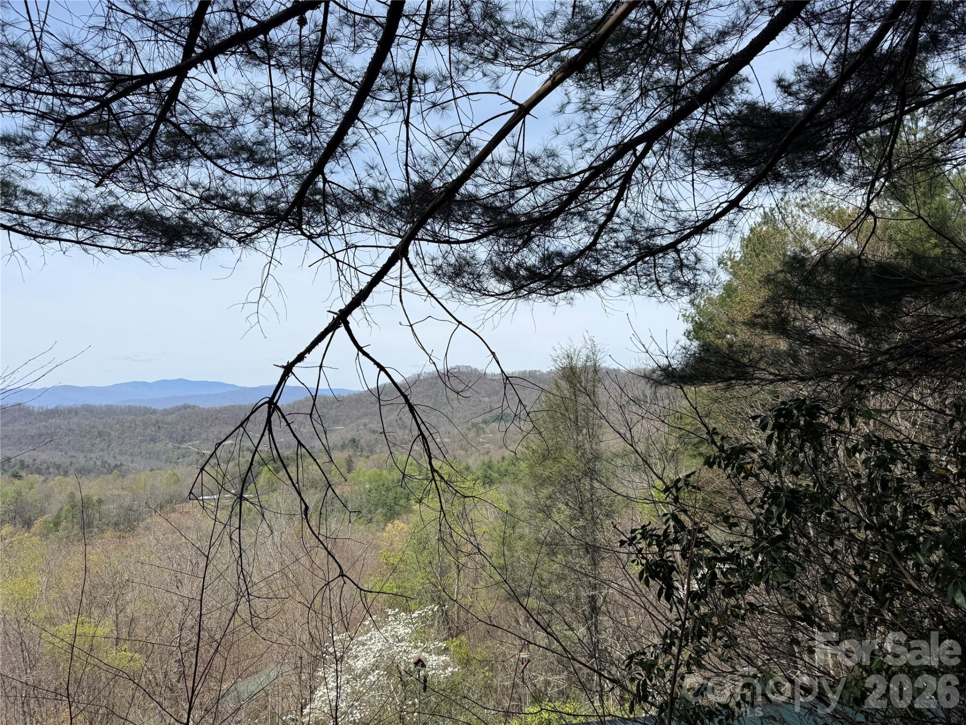 473 Echo Ridge Road - Photo 6