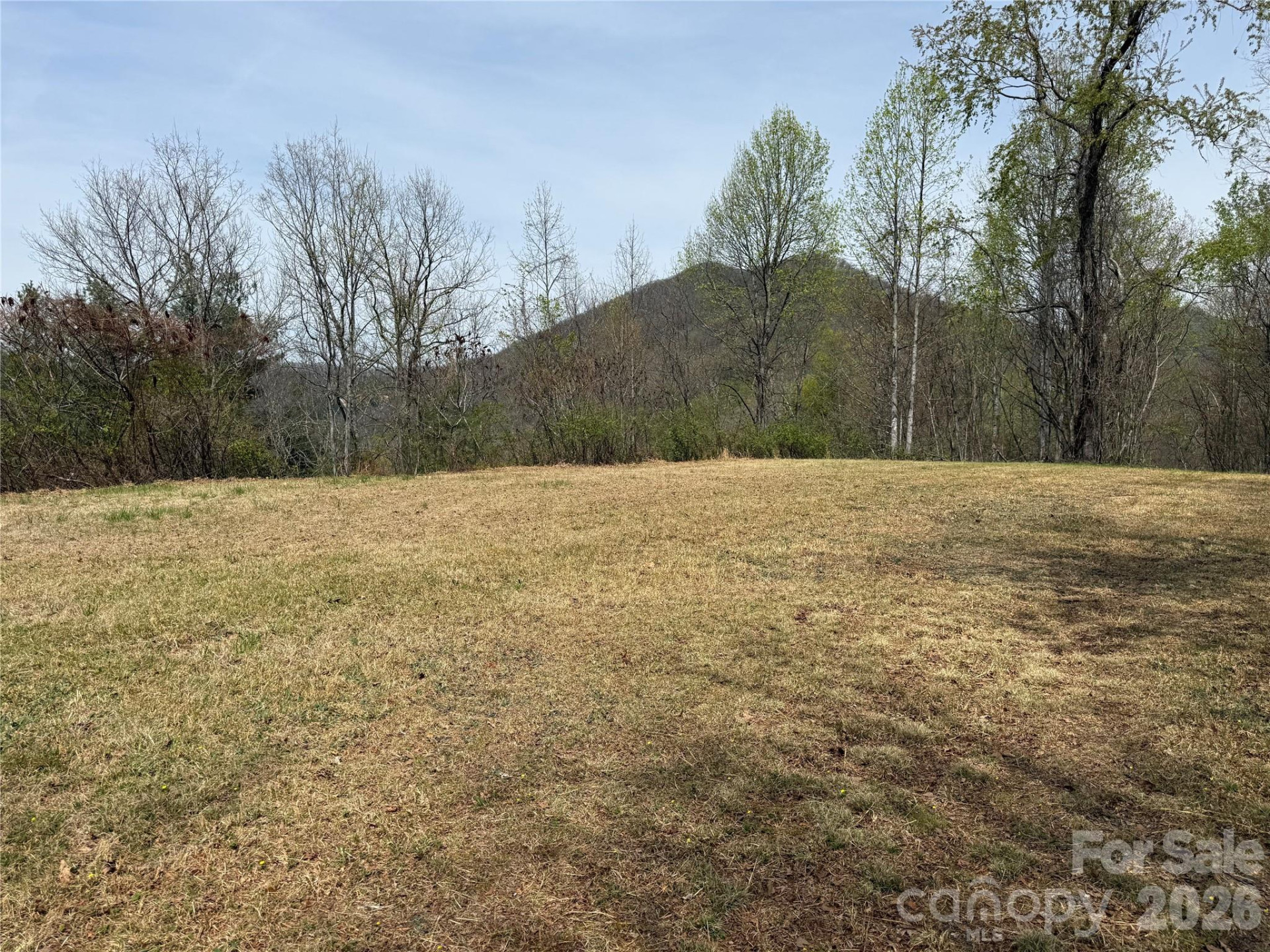 473 Echo Ridge Road - Photo 7
