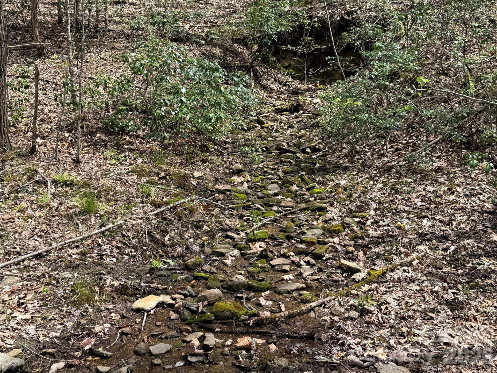 473 Echo Ridge Road - Photo 8