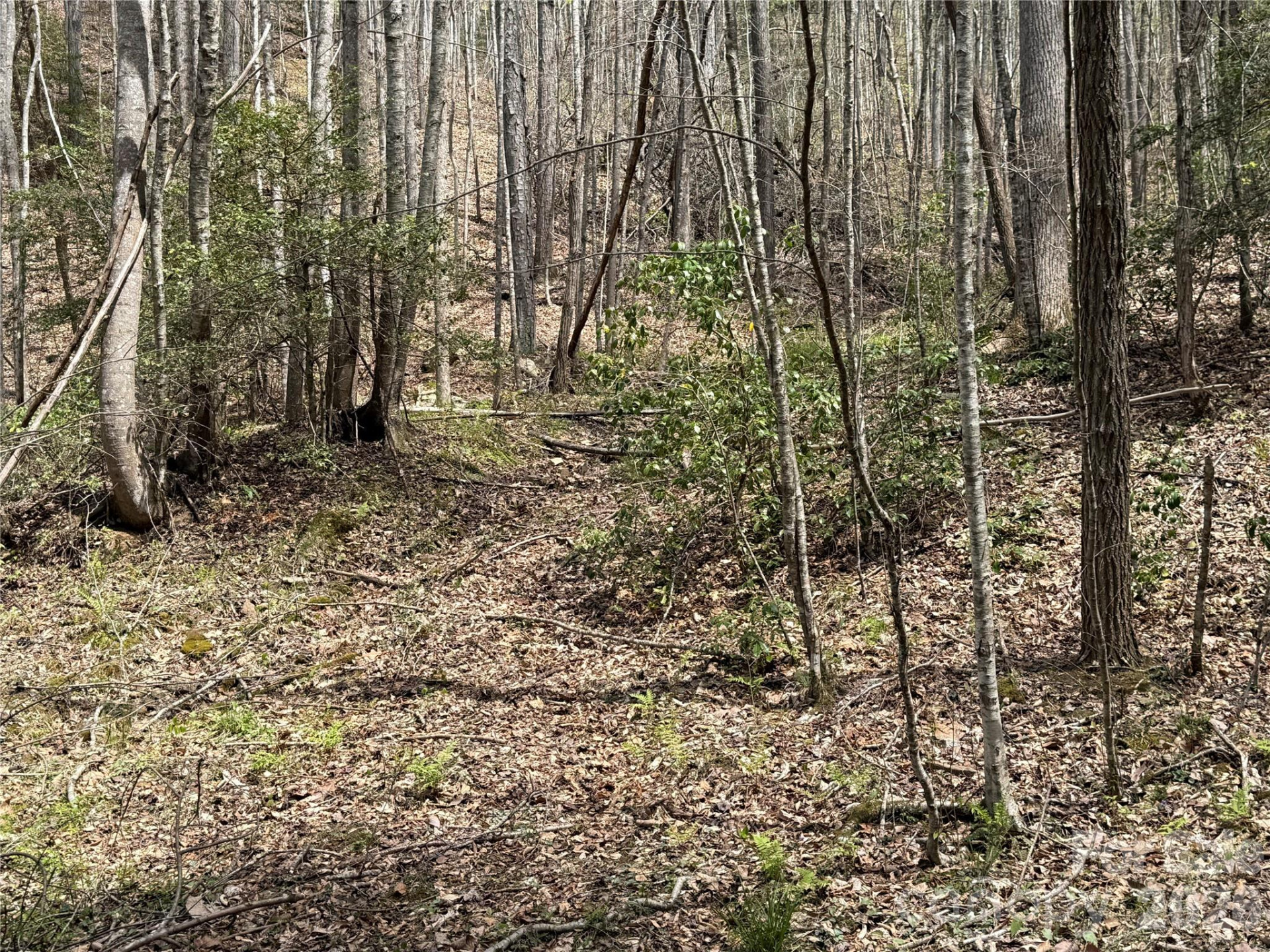 473 Echo Ridge Road - Photo 9