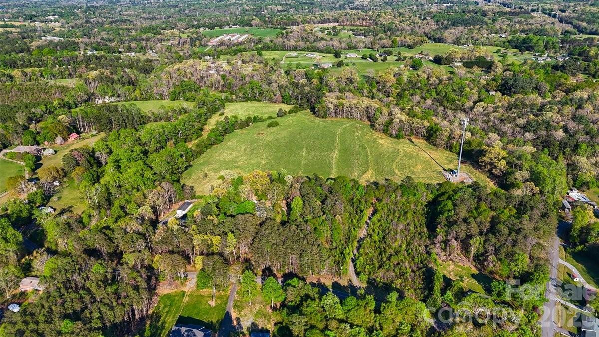 2923 Doc Pugh Road - Photo 3