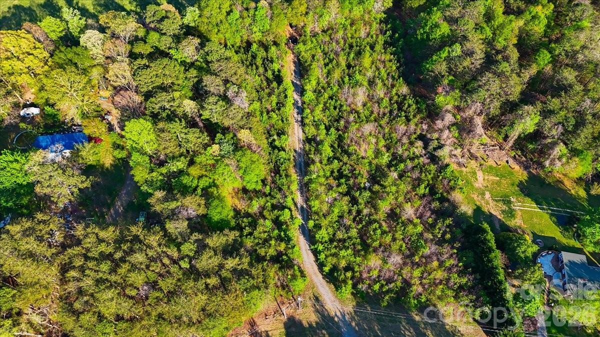 2923 Doc Pugh Road - Photo 10