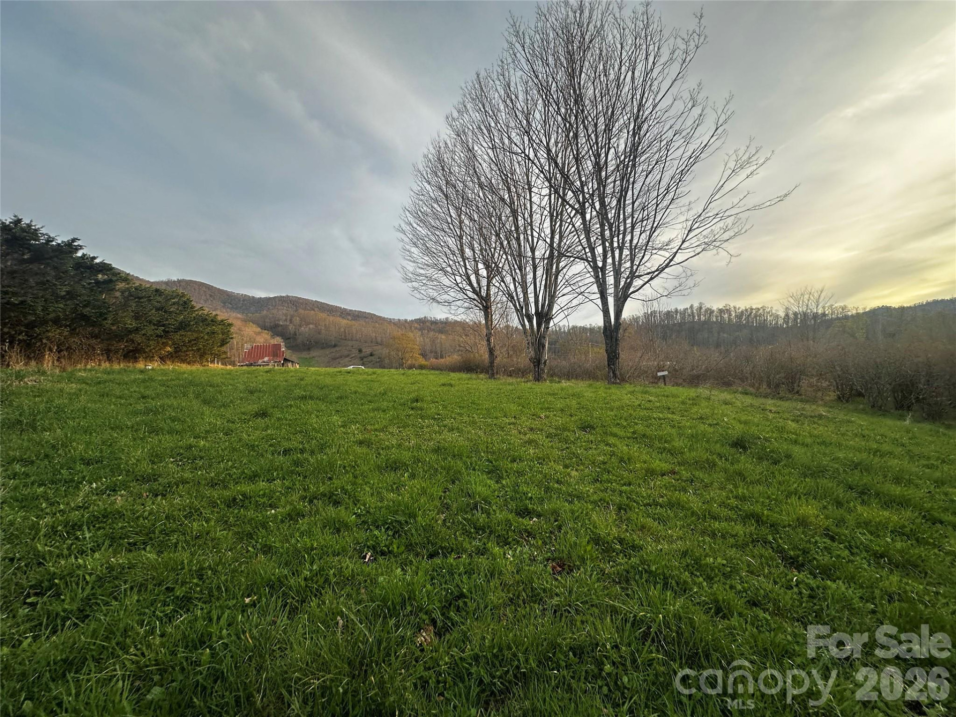 497 Odoms Chapel Road - Photo 3